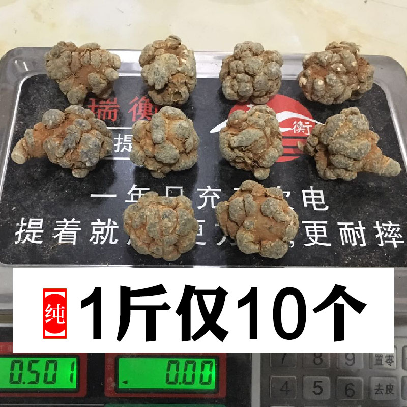 Lions' Head Yunnan Wenshan Spring 37 10-20-30 Head Tite Level Tian Seven 500 gr Ultra fine powder Non-wild