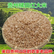 Guizhou red rice red rice red rice red rice red rice red japonica rice new rice old variety red brown rice boiled grain porridge 500g