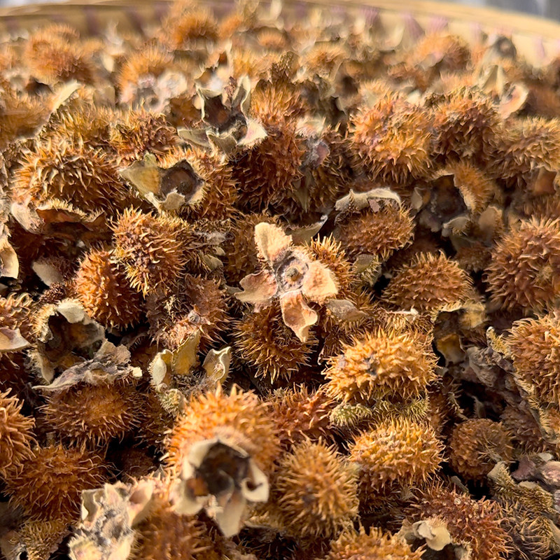 贵州正宗野生刺梨干片:土特产中的养生圣品,泡茶泡酒皆美味!-刺梨-淘宝百科网
