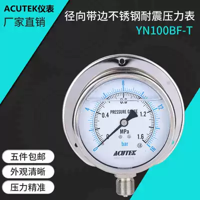 Radial strip stainless steel seismic pressure gauge YN100BF-T 1 6MPA M20 * 1 5 marine pressure gauge
