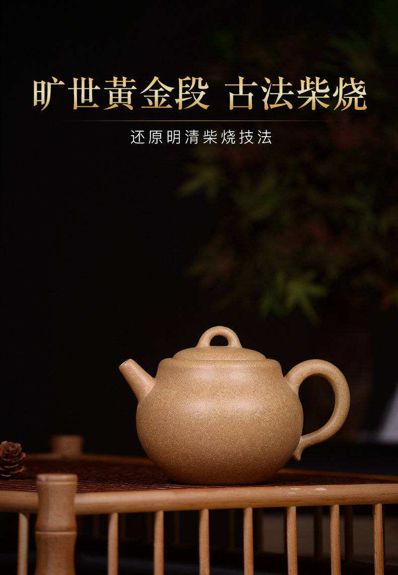 [徐顺伟黄金段福缘壶_02.jpg]