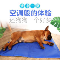Pet ice mat dog mat summer dog mat medium-sized large dog Teddy golden hair resistant to bite cat sleeping mat summer