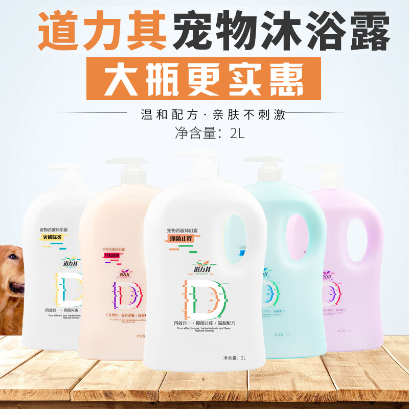 Pet shop dedicated dog bath deodorized deodorized and deodorized Taddy Kim Samoye large dog bath shampoo