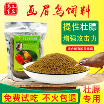 Zhenghong thrushes fighting birds raising strong fat playing birds starlings Sixi bird food singing birds nutritional feed special price