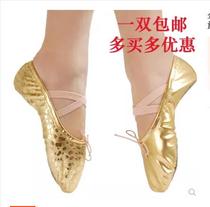 Golden dance shoes for children soft-soled practice shoes for girls ballet shoes cat claw shoes for adults belly dance folk dance