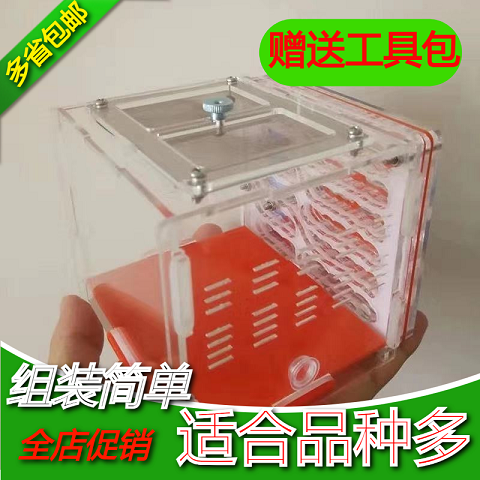 Ants Ant House Small Balcony Acrylic Ant Nest Pet Ant Nest Birthday Gift
