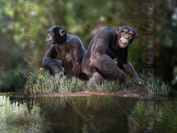 图片[7]-J3741 daz3d模型 猩球崛起动物高精度写实黑猩猩设计素材IM包 G8-cg男孩