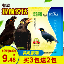 Naughty baby Starling fodder bird eating bird feed Starling bird food bird food bird food bird food bird food