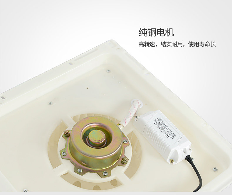 AVILLED FAN 2020_12.JPG