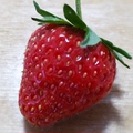小小一淘