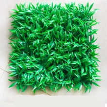 植物墙一块+1包80抽带盖大湿巾