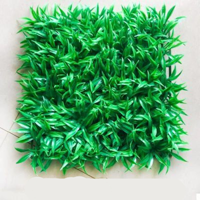 植物墙一块+1包80抽带盖大湿巾