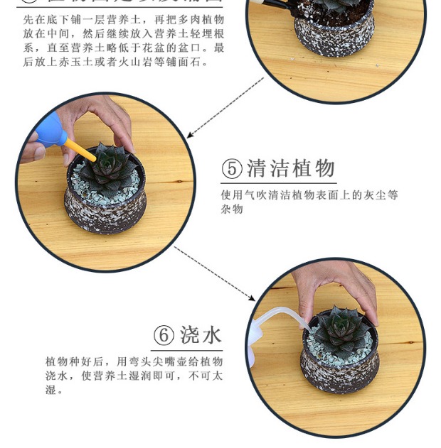 Cây mọng nước, bình tưới cây, tưới hoa, bình tưới nhỏ, dụng cụ làm vườn, bình tưới, bình tưới - Nguồn cung cấp vườn bình tưới cây bằng điện