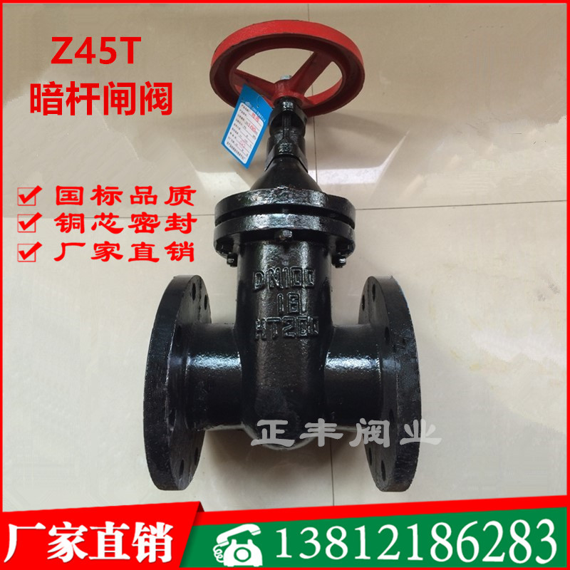Z45T-16 10 Cast iron flange dark rod copper core gate valve Civil defense DN50 65 80 100 125 150 200