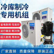 Emerson ZF ultra low temperature cold storage freezer group 3p 4p 5p 5p 8p Refrigerated frozen compressor full set of equipment