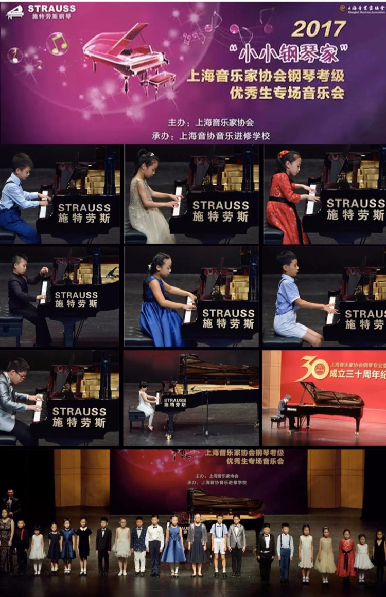 Strauss đàn piano chính thức uỷ quyền T128 Professional chấm điểm người lớn mới bắt đầu sản xuất trong đàn piano đứng thẳng - dương cầm piano mozart