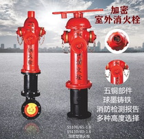 Encrypted outdoor fire hydrant ground bolt SS100 65 anti-collision pressure regulating encrypted antifreeze fire hydrant