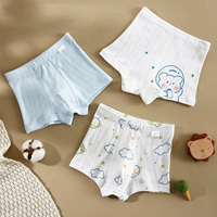 Cosmic Bear Boxer-Three Pack B Стиль