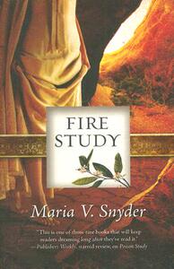 【预售】Fire Study