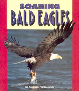 【预售】Soaring Bald Eagles