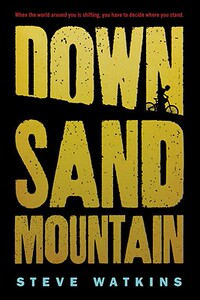 【预售】Down Sand Mountain