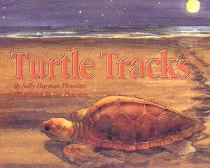 【预售】Turtle Tracks