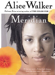【预售】Meridian