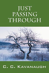 【预售】Just Passing Through