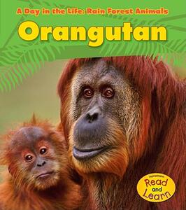 【预售】Orangutan