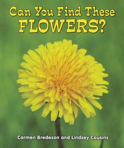 【预售】Can You Find These Flowers?