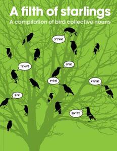 【预售】A Filth of Starlings: A Compilation of Bird