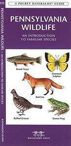 【预售】Pennsylvania Wildlife: An Introduction to Familiar