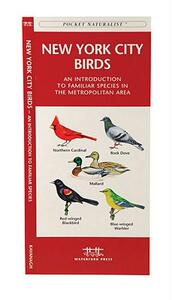 【预售】New York City Birds: An Introduction to Familiar