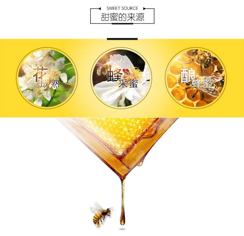 2000 蜜 20 20 Honey Text_06.jpg