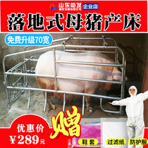 Floor-type mother pig Maternity bed Improvised bed location Bar limit bar Single pig position One bar Position Pig Equipment