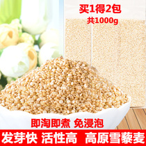 Plateau white quinoa rice germ rice 1000g new miqing Tibetan specialite rice cereal and cereals pregnant women baby covets