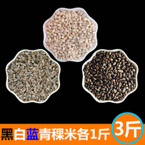 White and blue black three-color highland barley fragrant rice sugar friendly controlled sugar cooking porridge low sugar Qinghai-Tibet Plateau farmhouse first-class greens wheat seed