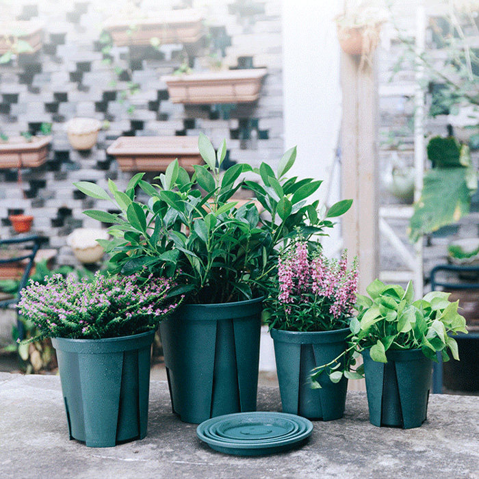 Haishan Japan imported KANEYA round plastic flower tray with bottom support indoor balcony garden root-controlled flower pot