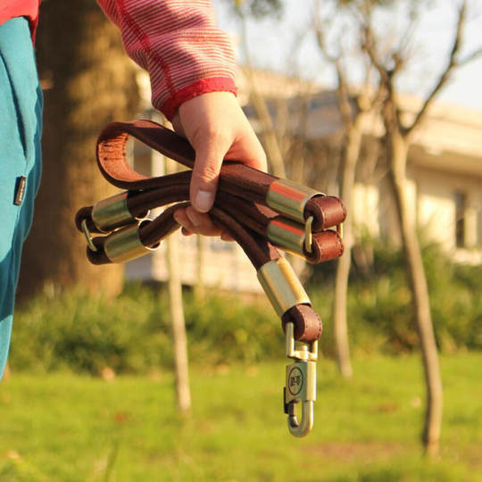 Medium and Large Dog Supplies, Dog Leash with Collar, Leather Leash for Golden Retrievers and Labradors, Dog Chain