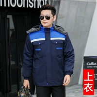 2D верхняя орхидея скрытая синяя вершина