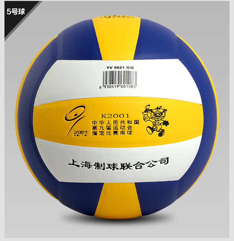 Ballon de volley - Ref 2015940 Image 13