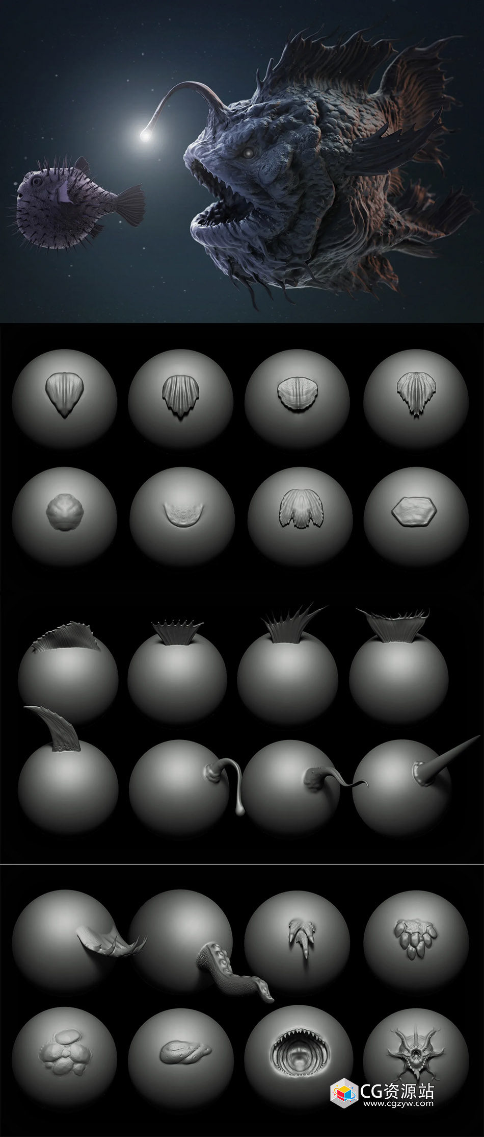 40 sea creatures brushes