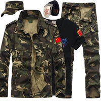 712 Желтый костюм+шляпа+черная T -Fash 605+пять -звездный пояс