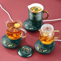 Многофункциональный здоровье электрическая тушеной чашка маленькая 1 человек чайная чашка офис мини -кипящий