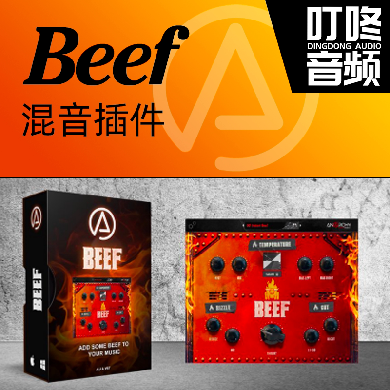 Dingthumping Audio Anarchy Audiocorx Beef remix software