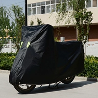 Черный (без уха)