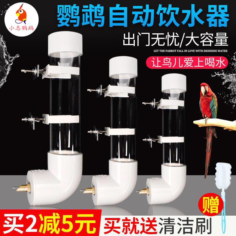 Parrot firing pin Automatic drinking water feeder Water feeder feeder Starling bird with kettle Water tank Bird food box Acrylic