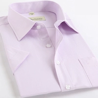 SFLD2811 Purple Countique Line