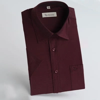 Sfld2817 jiu hong xianjie