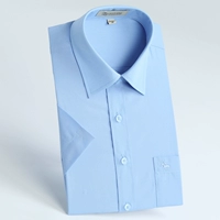 SFLD1687 Pure Blue
